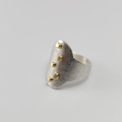 Ring M1